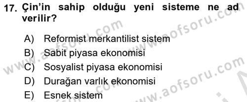 Dünya Ekonomisi Dersi 2018 - 2019 Yılı 3 Ders Sınav Soruları 17. Soru