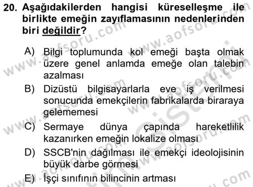 Dünya Ekonomisi Dersi 2018 - 2019 Yılı 3 Ders Sınav Soruları 20. Soru