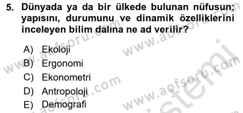 Dünya Ekonomisi Dersi 2018 - 2019 Yılı 3 Ders Sınav Soruları 5. Soru