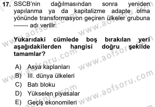 Dünya Ekonomisi Dersi 2018 - 2019 Yılı (Vize) Ara Sınav Soruları 17. Soru