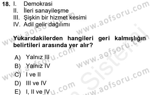 Dünya Ekonomisi Dersi 2018 - 2019 Yılı (Vize) Ara Sınav Soruları 18. Soru