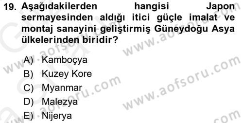 Dünya Ekonomisi Dersi 2018 - 2019 Yılı (Vize) Ara Sınav Soruları 19. Soru