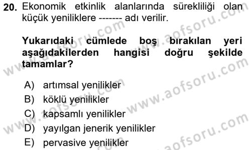 Dünya Ekonomisi Dersi 2018 - 2019 Yılı (Vize) Ara Sınav Soruları 20. Soru