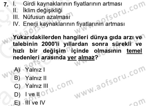 Dünya Ekonomisi Dersi 2018 - 2019 Yılı (Vize) Ara Sınav Soruları 7. Soru