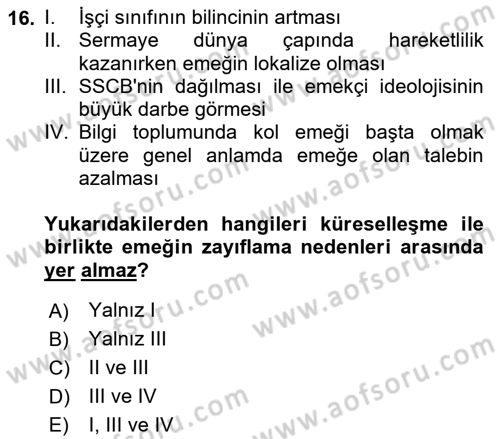 Dünya Ekonomisi Dersi 2018 - 2019 Yılı (Final) Dönem Sonu Sınav Soruları 16. Soru
