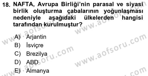 Dünya Ekonomisi Dersi 2018 - 2019 Yılı (Final) Dönem Sonu Sınav Soruları 18. Soru