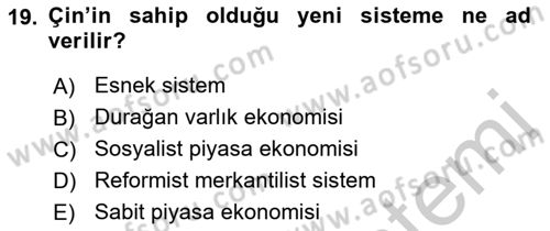 Dünya Ekonomisi Dersi 2018 - 2019 Yılı Yaz Okulu Sınav Soruları 19. Soru