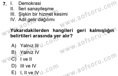 Dünya Ekonomisi Dersi 2018 - 2019 Yılı Yaz Okulu Sınav Soruları 7. Soru