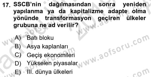 Dünya Ekonomisi Dersi 2019 - 2020 Yılı (Vize) Ara Sınav Soruları 17. Soru