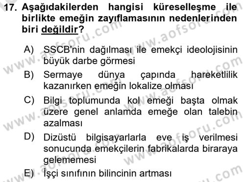 Dünya Ekonomisi Dersi 2020 - 2021 Yılı Yaz Okulu Sınav Soruları 17. Soru
