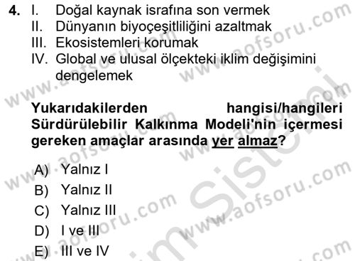 Dünya Ekonomisi Dersi 2020 - 2021 Yılı Yaz Okulu Sınav Soruları 4. Soru
