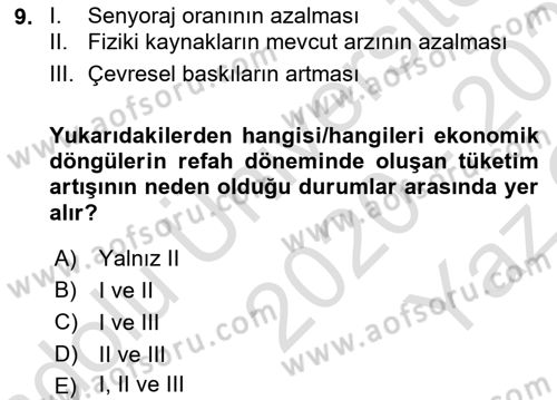 Dünya Ekonomisi Dersi 2020 - 2021 Yılı Yaz Okulu Sınav Soruları 9. Soru