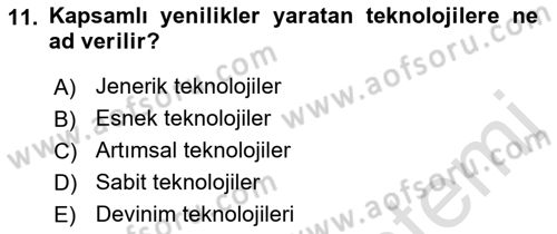 Dünya Ekonomisi Dersi Ara Sınavı Deneme Sınav Soruları 11. Soru