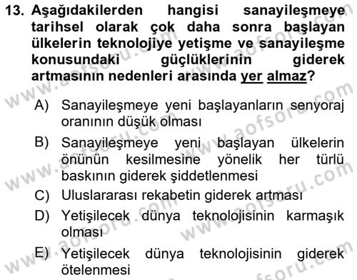 Dünya Ekonomisi Dersi Ara Sınavı Deneme Sınav Soruları 13. Soru