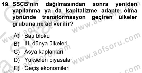 Dünya Ekonomisi Dersi Ara Sınavı Deneme Sınav Soruları 19. Soru