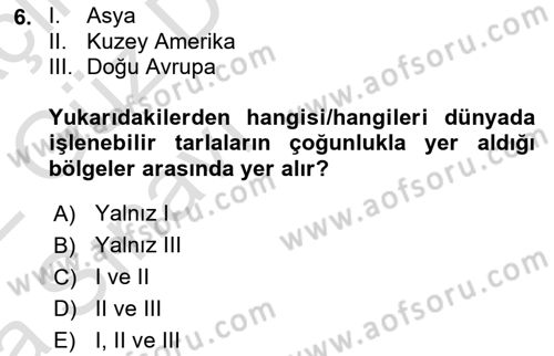 Dünya Ekonomisi Dersi Ara Sınavı Deneme Sınav Soruları 6. Soru