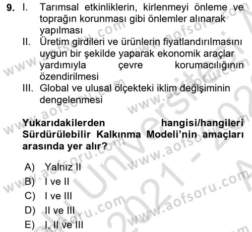 Dünya Ekonomisi Dersi 2021 - 2022 Yılı (Vize) Ara Sınav Soruları 9. Soru