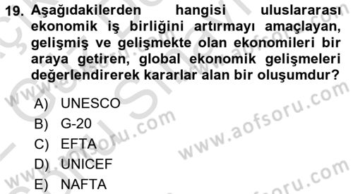 Dünya Ekonomisi Dersi 2021 - 2022 Yılı (Final) Dönem Sonu Sınav Soruları 19. Soru