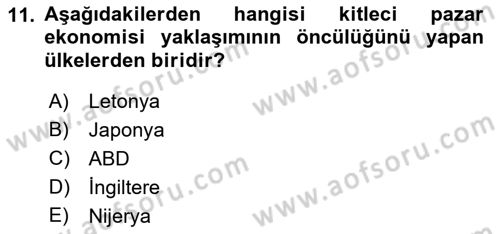 Dünya Ekonomisi Dersi Ara Sınavı Deneme Sınav Soruları 11. Soru