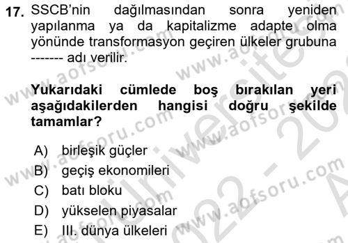 Dünya Ekonomisi Dersi Ara Sınavı Deneme Sınav Soruları 17. Soru