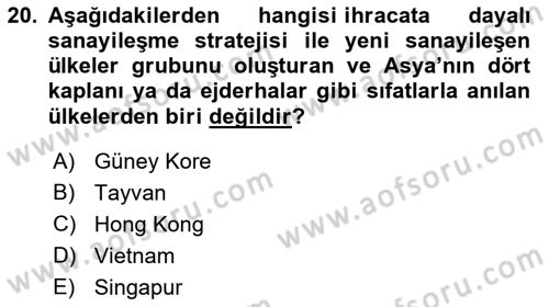 Dünya Ekonomisi Dersi 2022 - 2023 Yılı (Vize) Ara Sınav Soruları 20. Soru