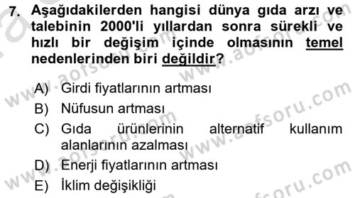 Dünya Ekonomisi Dersi Ara Sınavı Deneme Sınav Soruları 7. Soru