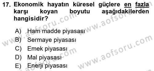 Dünya Ekonomisi Dersi 2022 - 2023 Yılı (Final) Dönem Sonu Sınav Soruları 17. Soru