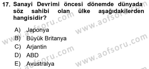 Dünya Ekonomisi Dersi 2022 - 2023 Yılı Yaz Okulu Sınav Soruları 17. Soru