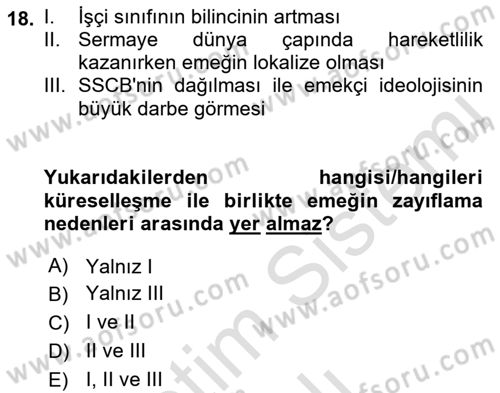 Dünya Ekonomisi Dersi 2022 - 2023 Yılı Yaz Okulu Sınav Soruları 18. Soru