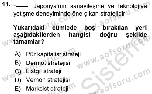 Dünya Ekonomisi Dersi Ara Sınavı Deneme Sınav Soruları 11. Soru