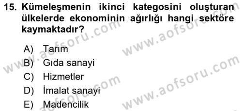 Dünya Ekonomisi Dersi 2024 - 2025 Yılı (Vize) Ara Sınav Soruları 15. Soru