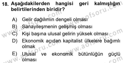 Dünya Ekonomisi Dersi Ara Sınavı Deneme Sınav Soruları 18. Soru