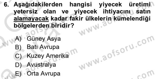 Dünya Ekonomisi Dersi Ara Sınavı Deneme Sınav Soruları 6. Soru