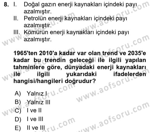 Dünya Ekonomisi Dersi 2024 - 2025 Yılı (Vize) Ara Sınav Soruları 8. Soru