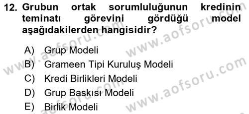 Dış Ticarette Girişimcilik Dersi 2021 - 2022 Yılı (Vize) Ara Sınav Soruları 12. Soru