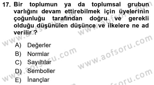 Dış Ticarette Girişimcilik Dersi 2021 - 2022 Yılı (Final) Dönem Sonu Sınav Soruları 17. Soru