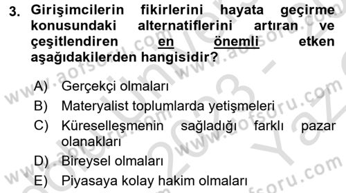 Dış Ticarette Girişimcilik Dersi 2023 - 2024 Yılı Yaz Okulu Sınav Soruları 3. Soru