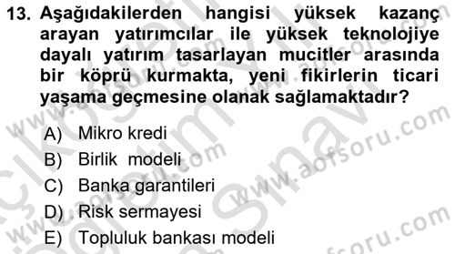 Dış Ticarette Girişimcilik Dersi 2024 - 2025 Yılı (Vize) Ara Sınav Soruları 13. Soru