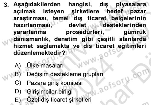 Dış Ticarette Girişimcilik Dersi 2024 - 2025 Yılı (Vize) Ara Sınav Soruları 3. Soru