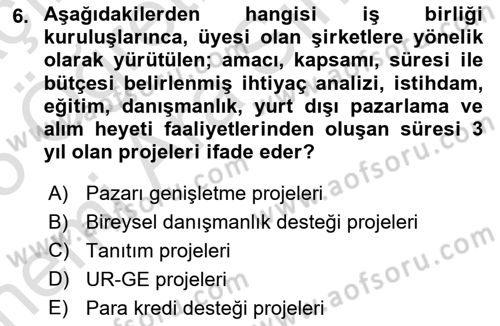 Dış Ticarette Girişimcilik Dersi 2024 - 2025 Yılı (Vize) Ara Sınav Soruları 6. Soru