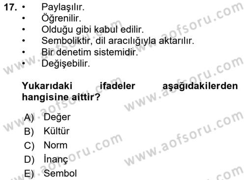 Dış Ticarette Girişimcilik Dersi 2024 - 2025 Yılı Yaz Okulu Sınav Soruları 17. Soru
