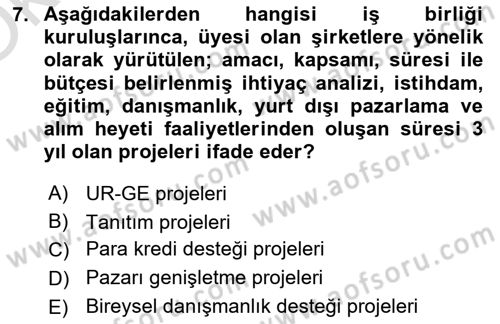 Dış Ticarette Girişimcilik Dersi 2024 - 2025 Yılı Yaz Okulu Sınav Soruları 7. Soru