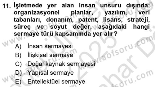 Dış Ticarette Girişimcilik Dersi 2025 - 2026 Yılı (Vize) Ara Sınav Soruları 11. Soru