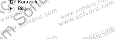 Türk Tiyatrosu Dersi 2012 - 2013 Yılı (Final) Dönem Sonu Sınav Soruları 8. Soru