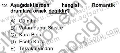 Türk Tiyatrosu Dersi 2014 - 2015 Yılı (Vize) Ara Sınav Soruları 12. Soru