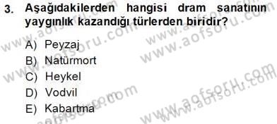 Türk Tiyatrosu Dersi 2014 - 2015 Yılı (Vize) Ara Sınav Soruları 3. Soru