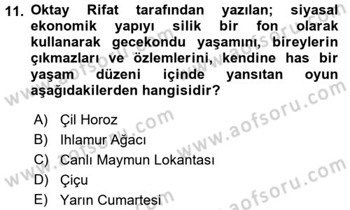 Türk Tiyatrosu Dersi 2016 - 2017 Yılı 3 Ders Sınav Soruları 11. Soru