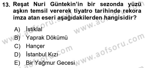 Türk Tiyatrosu Dersi 2016 - 2017 Yılı 3 Ders Sınav Soruları 13. Soru