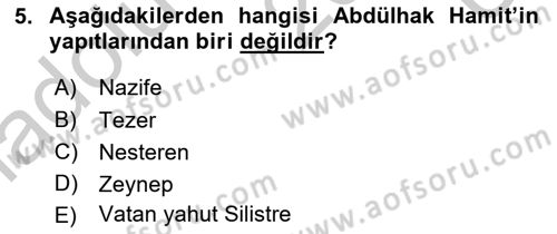Türk Tiyatrosu Dersi 2016 - 2017 Yılı 3 Ders Sınav Soruları 5. Soru