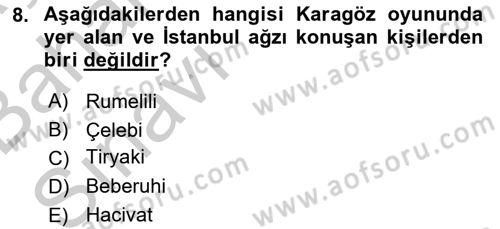 Türk Tiyatrosu Dersi 2016 - 2017 Yılı (Vize) Ara Sınav Soruları 8. Soru